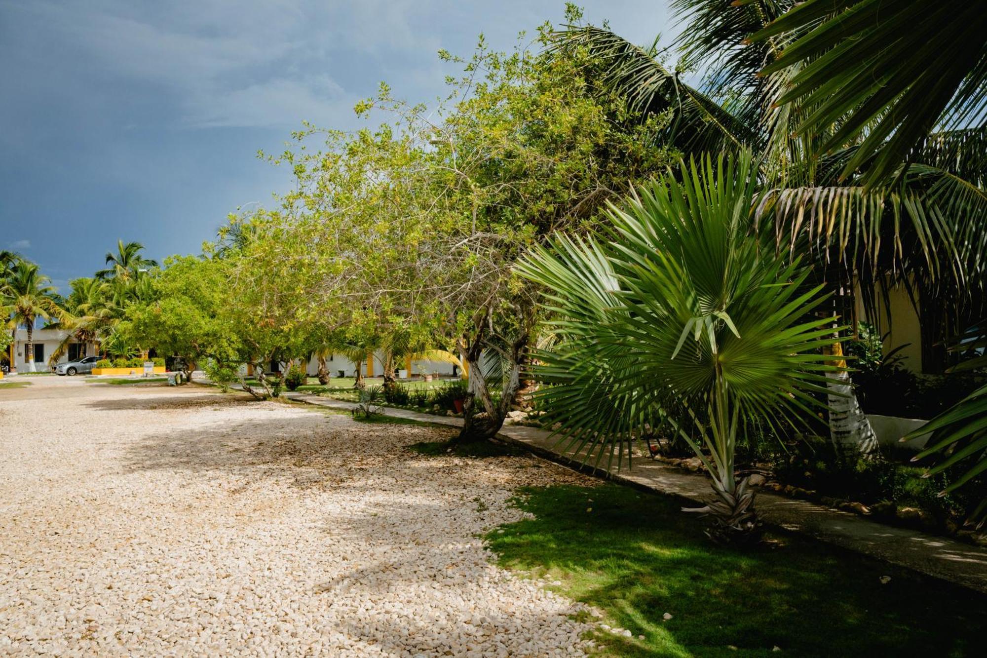 Caribbean Town Aparthotel Tolu